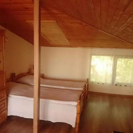 Koral 3*