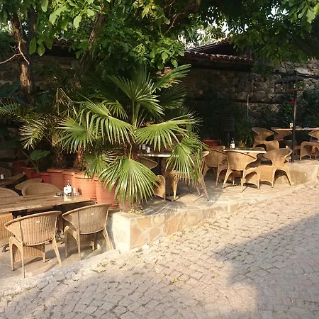 Koral Sozopol
