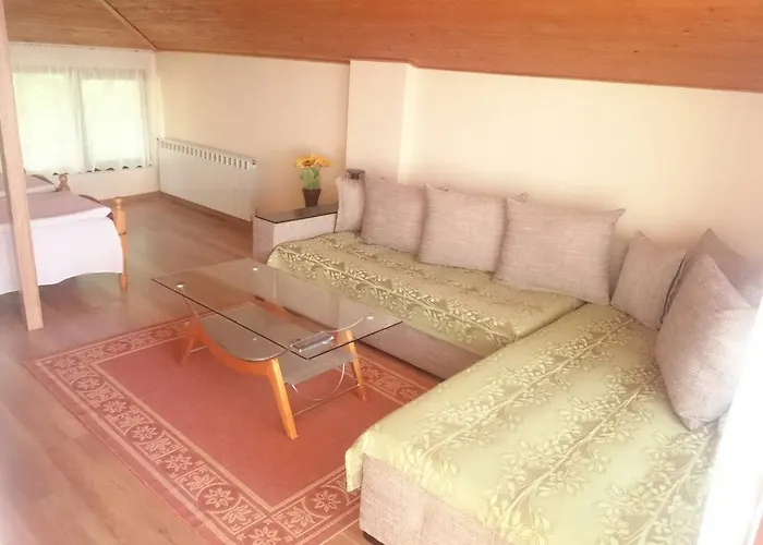 Гостевой дом Koral 3*